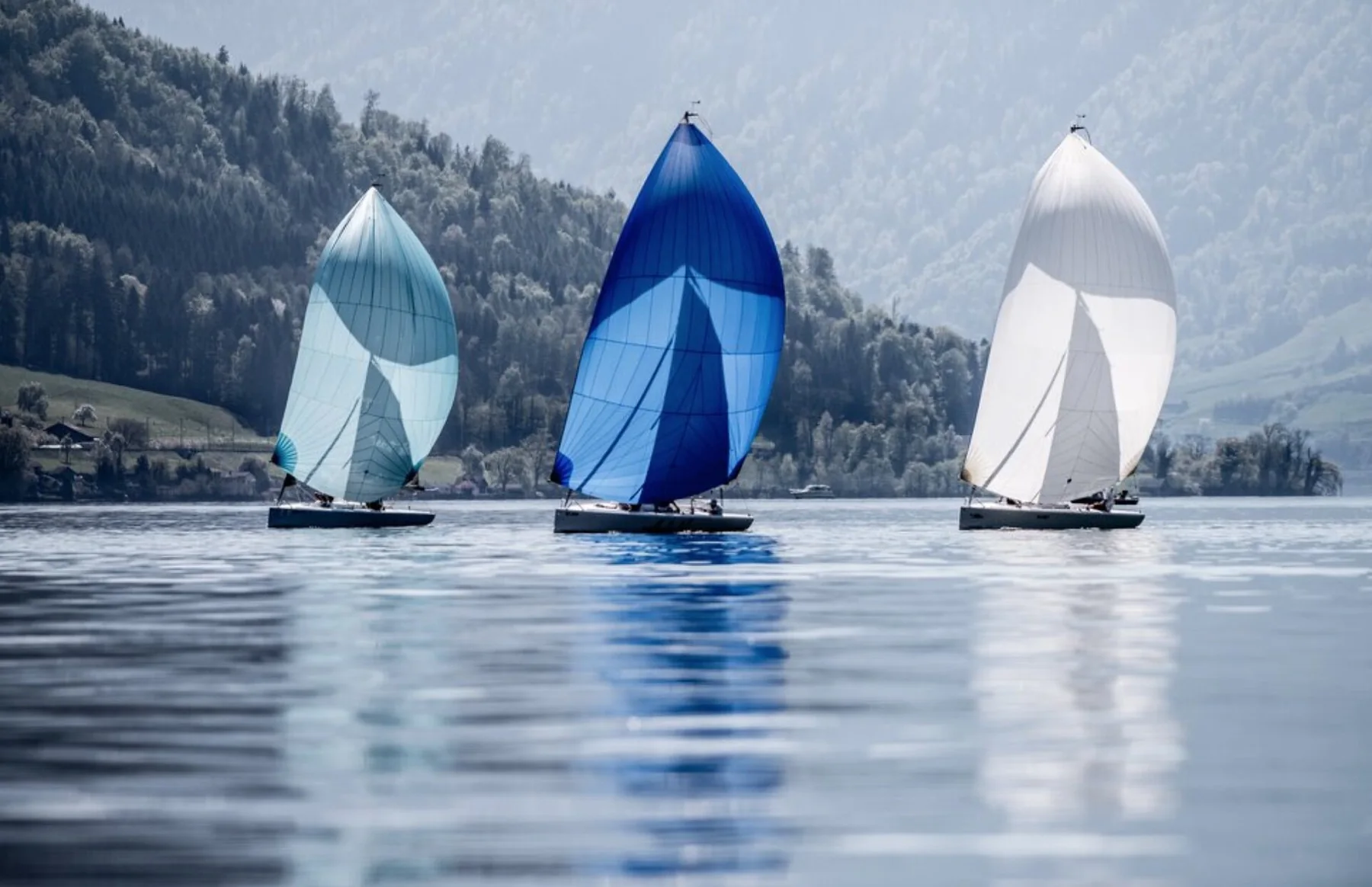 blu26 Saison 2019