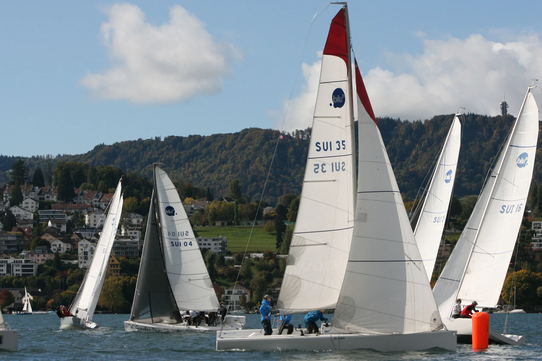 Blu26 Herbstpreis II ZYC